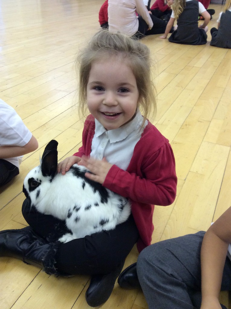 Everyone-loves-cuddling-bunnies
